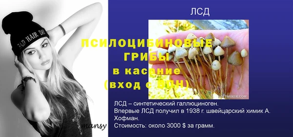 прущая мука Богданович