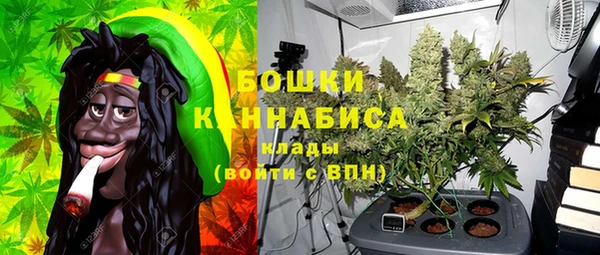 PSILOCYBIN Богородск